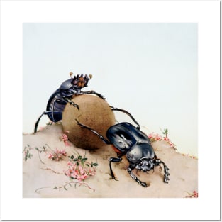 Sacred scarabs (Scarabaeus sacer) rolling a dung ball. Posters and Art